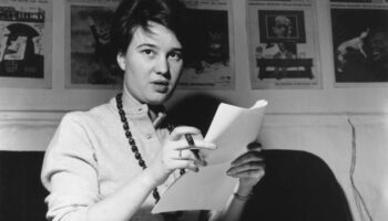 Rebelde con causa, Ulrique Meinhof, ocho años de plomo en la R.F.A. (1968-1976)
