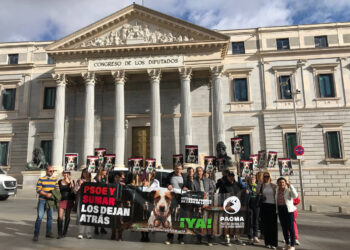 PACMA presenta la campaña “PSOE y Sumar los dejan atrás” para exigir la inclusión de los perros de caza en la Ley de Protección Animal
