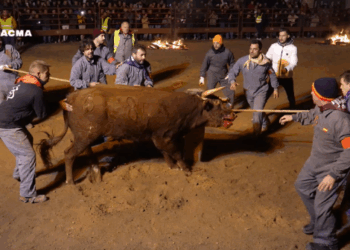 El Partido Animalista solicita la recusación del magistrado ponente del Tribunal Supremo en el caso del Toro Júbilo
