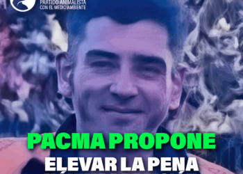 PACMA exige al Gobierno del PSOE y SUMAR penas de hasta diez años para los delitos de maltrato animal