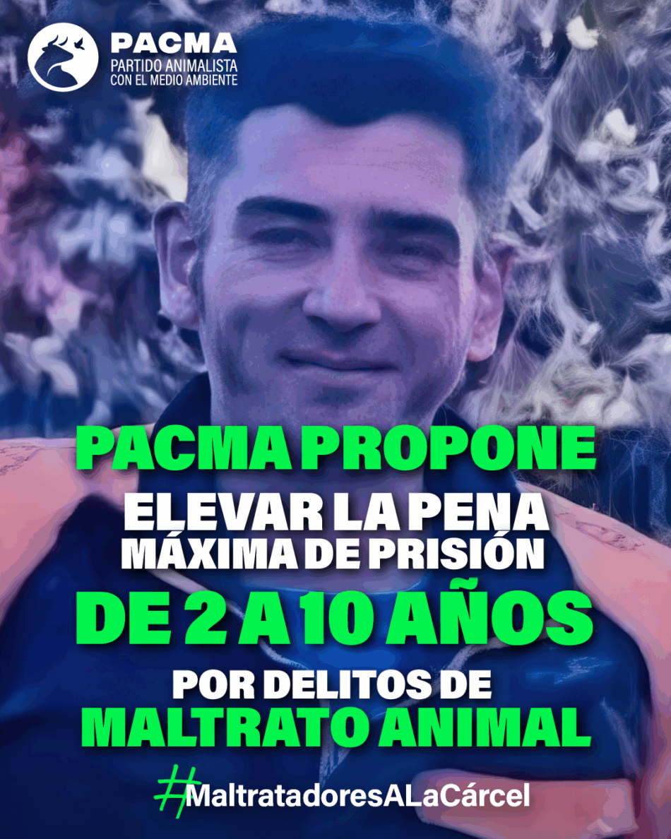 PACMA exige al Gobierno del PSOE y SUMAR penas de hasta diez años para los delitos de maltrato animal