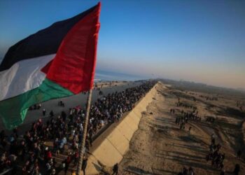 HAMAS rechaza aprobación del plan propuesto por EEUU en el CSNU