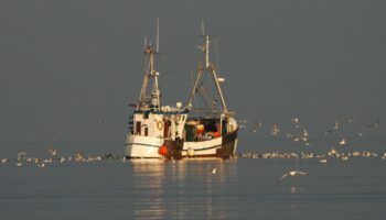 FSC-CCOO celebra las directrices de la OIT y exige su implementación inmediata para proteger a las y los pescadores migrantes