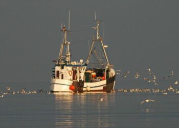 FSC-CCOO celebra las directrices de la OIT y exige su implementación inmediata para proteger a las y los pescadores migrantes