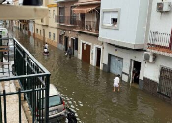 Ecologistas traslada su apuesta por una Sevilla más permeable y adaptada al cambio climático