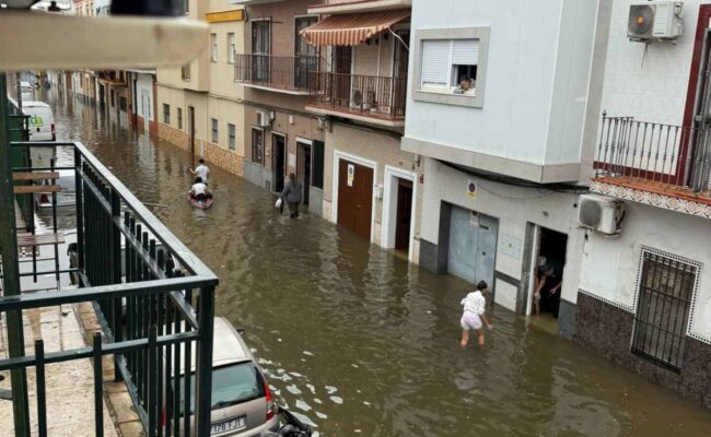 Ecologistas traslada su apuesta por una Sevilla más permeable y adaptada al cambio climático