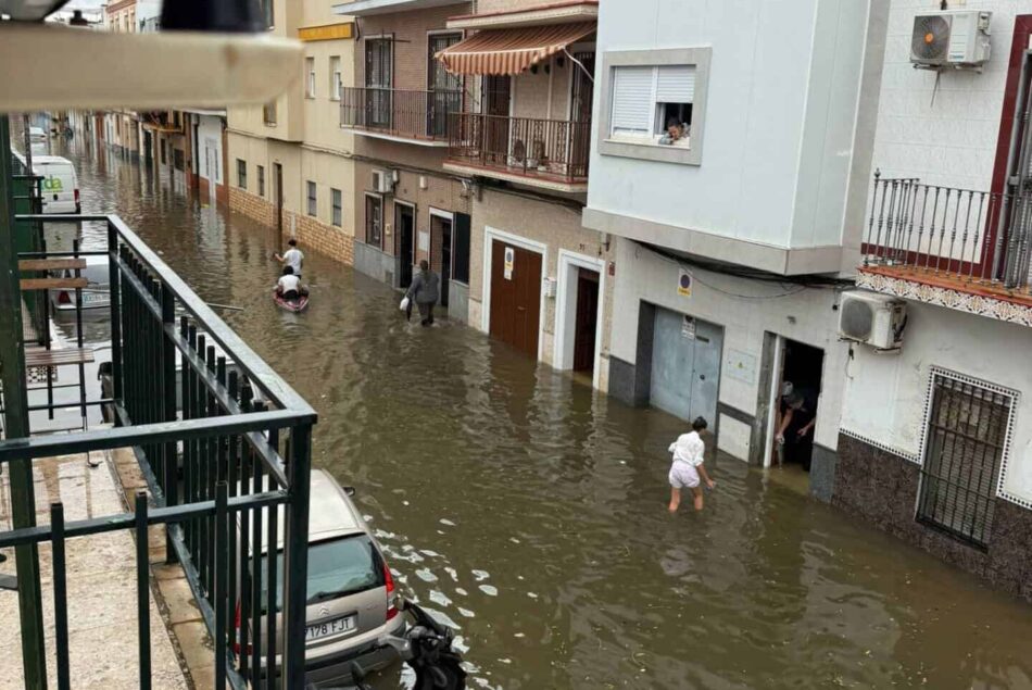 Ecologistas traslada su apuesta por una Sevilla más permeable y adaptada al cambio climático