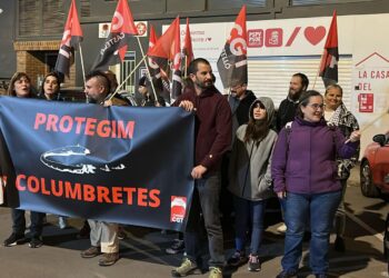 Decenas de personas protestaron frente a la sede del PSOE en Castelló en defensa de Les Columbretes