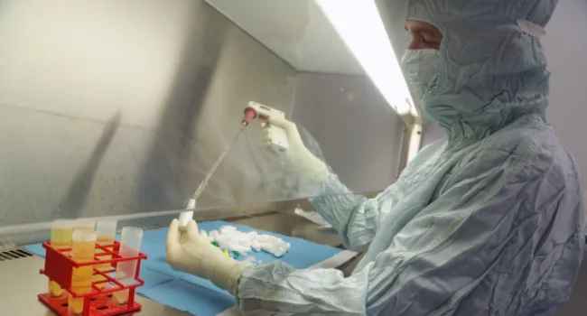 Más de 7.400 personas donaron tejidos en España en 2024