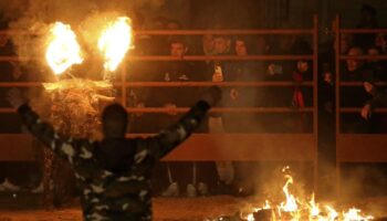 Alianza Verde pide a la Comisión Europea que intervenga para prohibir el Toro de Júbilo en Medinaceli