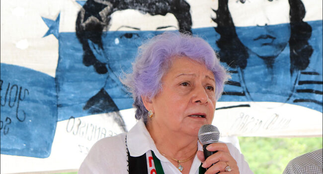 Honduras: Derechos humanos y elecciones