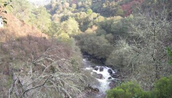 Alertan sobre a presenza continuada de verteduras de augas residuais no río Oitavén