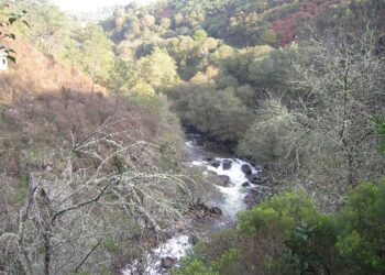 Alertan sobre a presenza continuada de verteduras de augas residuais no río Oitavén