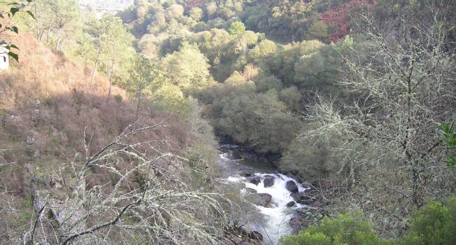 Alertan sobre a presenza continuada de verteduras de augas residuais no río Oitavén