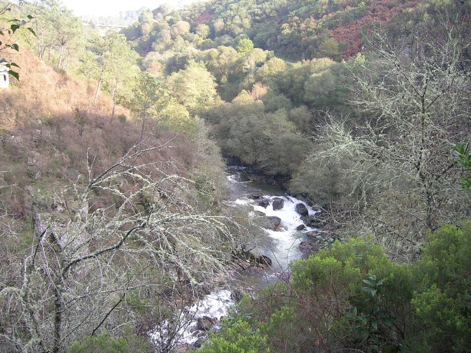Alertan sobre a presenza continuada de verteduras de augas residuais no río Oitavén