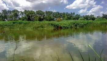 Detectan más de 40 contaminantes del tráfico en la cuenca del Tajo
