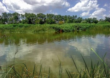 Detectan más de 40 contaminantes del tráfico en la cuenca del Tajo