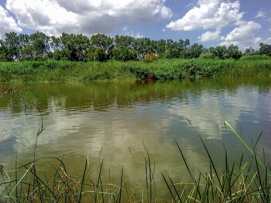 Detectan más de 40 contaminantes del tráfico en la cuenca del Tajo
