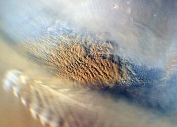 El rover Perseverance detecta descargas eléctricas en Marte y confirma actividad atmosférica