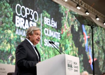 La ONU aboga por transición definitiva a energías renovables