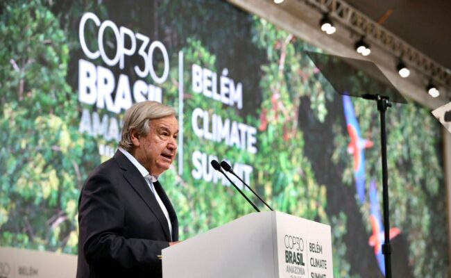 La ONU aboga por transición definitiva a energías renovables