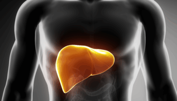 Un estudio revela la conexión entre hígado y cerebro en la enfermedad hepática metabólica