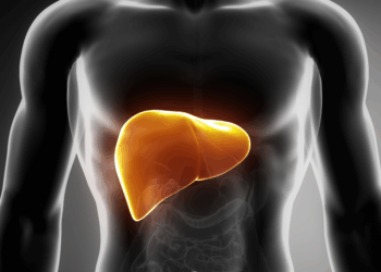 Un estudio revela la conexión entre hígado y cerebro en la enfermedad hepática metabólica