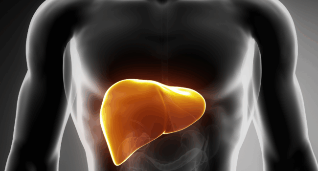 Un estudio revela la conexión entre hígado y cerebro en la enfermedad hepática metabólica