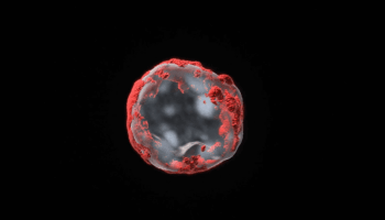 Identifican un fármaco que rejuvenece las células madre sanguíneas