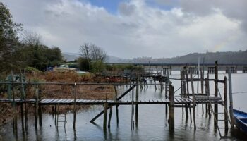 El Parlamento Europeo registra la petición de Veda de la pesca de la angula en Asturias presentada por la Coordinadora Ecoloxista d´Asturies