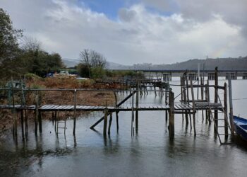 El Parlamento Europeo registra la petición de Veda de la pesca de la angula en Asturias presentada por la Coordinadora Ecoloxista d´Asturies
