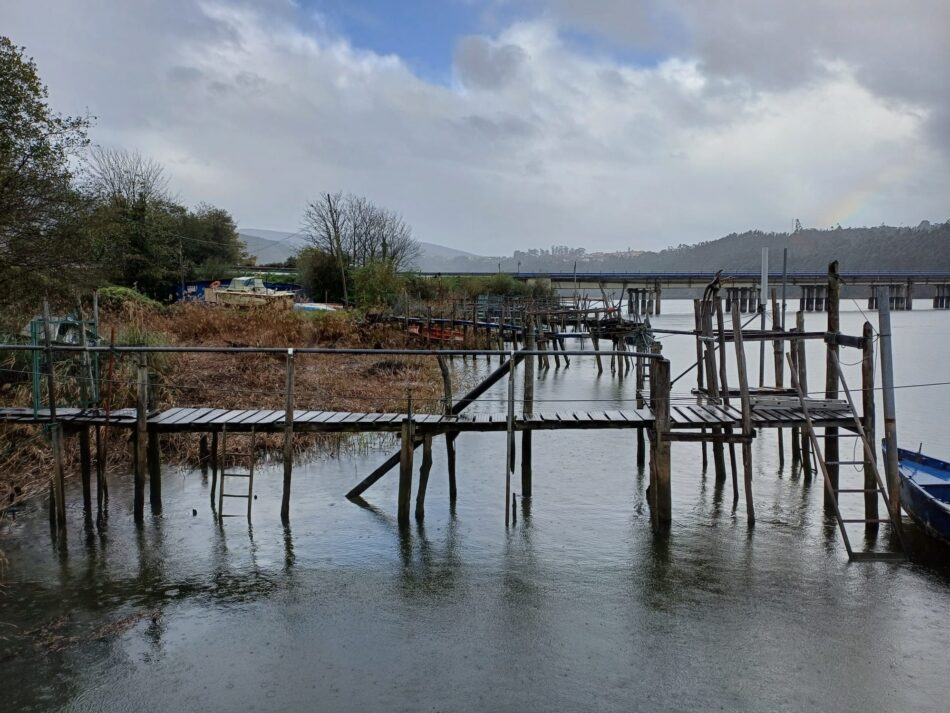 El Parlamento Europeo registra la petición de Veda de la pesca de la angula en Asturias presentada por la Coordinadora Ecoloxista d´Asturies