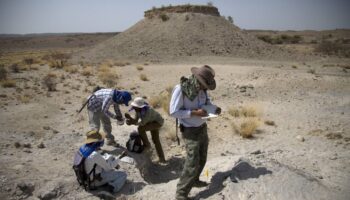 Un pie fósil confirma la coexistencia de dos especies de australopitecos en África