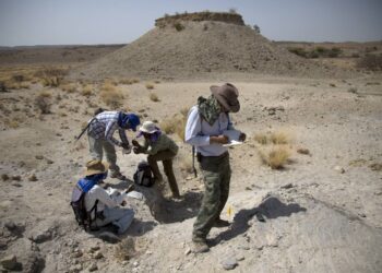 Un pie fósil confirma la coexistencia de dos especies de australopitecos en África