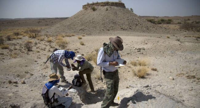 Un pie fósil confirma la coexistencia de dos especies de australopitecos en África