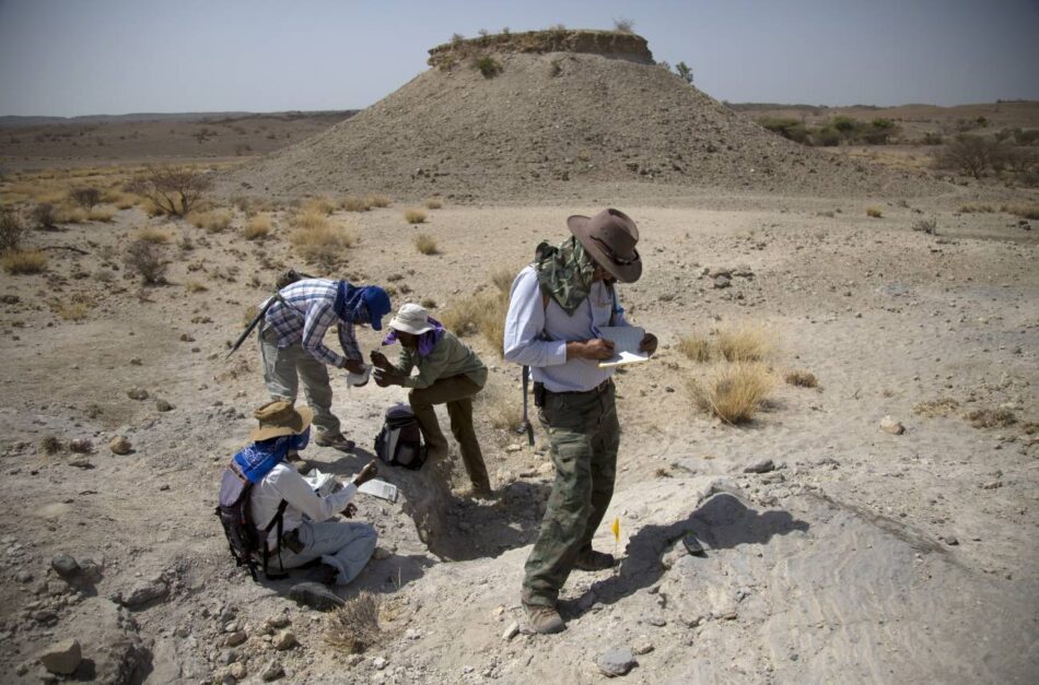 Un pie fósil confirma la coexistencia de dos especies de australopitecos en África