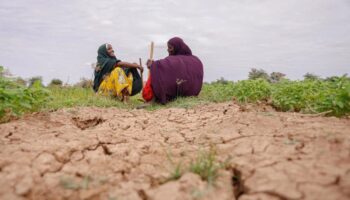 Desplazados por el clima en el mundo suman 250 millones en 10 años