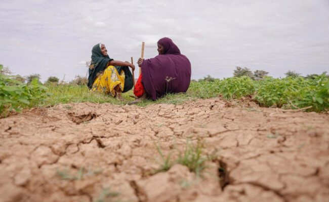 Desplazados por el clima en el mundo suman 250 millones en 10 años