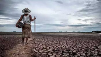 Calor extremo mata medio millón de personas anualmente