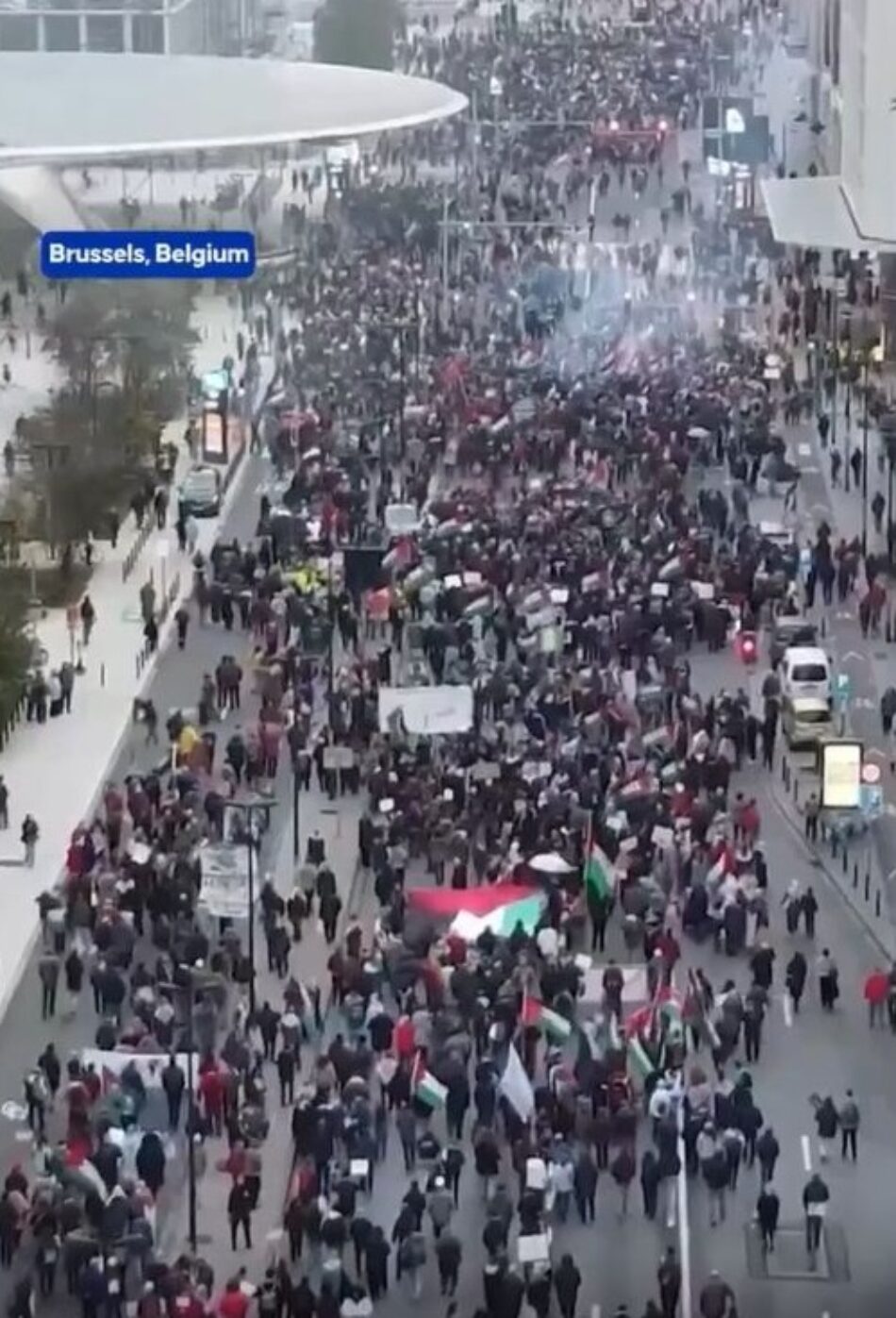 Protesta en Bruselas exige sanciones a Israel por sus crímenes en Gaza