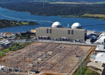 Las principales organizaciones ecologistas rechazan la continuidad de la central nuclear de Almaraz