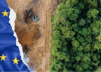Más de 30 organizaciones alertan: cualquier intento de debilitar la ley europea contra la deforestación es un paso atrás inaceptable