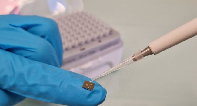 Proteínas hechas a medida para transportar electricidad y almacenar energía