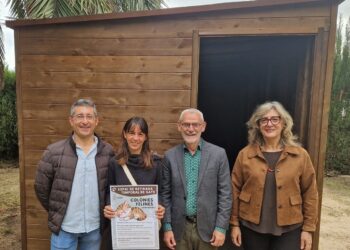 Un nuevo espacio en Alboraya (Valencia) para alojar temporalmente gatos comunitarios en recuperación