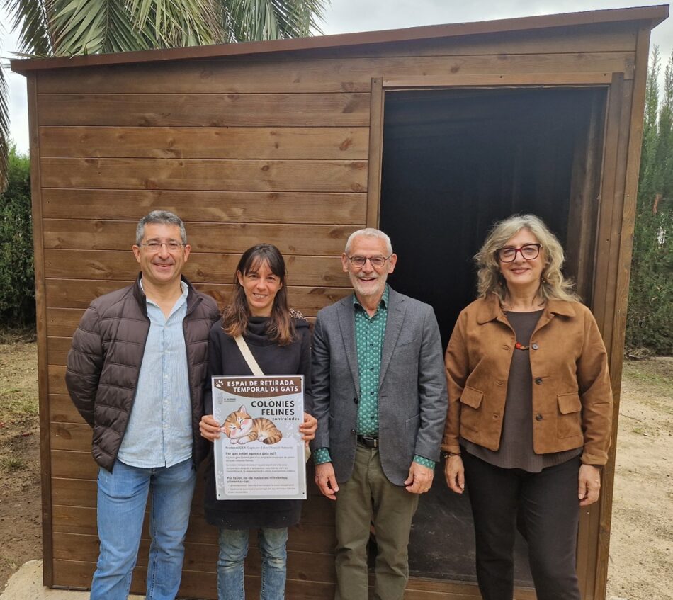 Un nuevo espacio en Alboraya (Valencia) para alojar temporalmente gatos comunitarios en recuperación