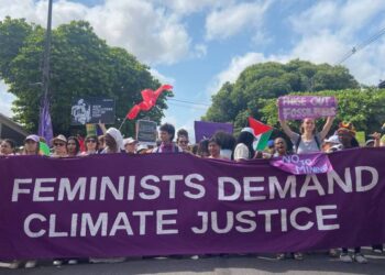 Manifiesto del Área de Ecofeminismos de Ecologistas en Acción en el 25N: “Juntas y diversas”