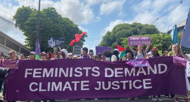 Manifiesto del Área de Ecofeminismos de Ecologistas en Acción en el 25N: “Juntas y diversas”