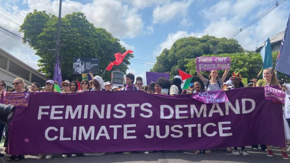 Manifiesto del Área de Ecofeminismos de Ecologistas en Acción en el 25N: “Juntas y diversas”