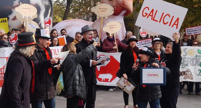 Semana de Lucha contra la Ganadería Industrial: Vecinas, vecinos y ecologistas exigen la moratoria de proyectos de macrogranjas