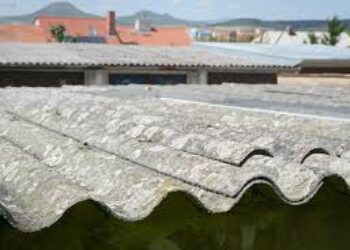 Ecologistas en Acción Dehesas y Villuercas: «La urgente necesidad de retirar la uralita»